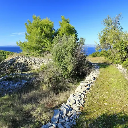 Holiday home Stone House Oreb's - Two Bedroom Stone House With Terrace And Garden View Vela Luka